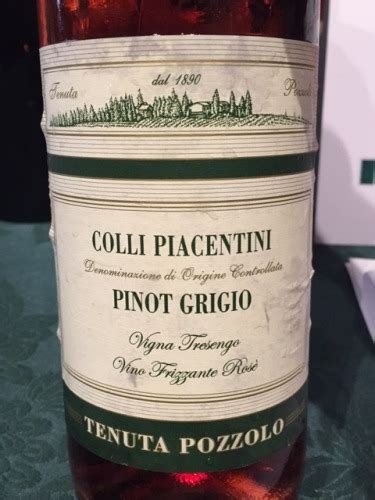 Tenuta Pozzolo Pinot Grigio Vigna Tresengo Frizzante Rosé Vivino US