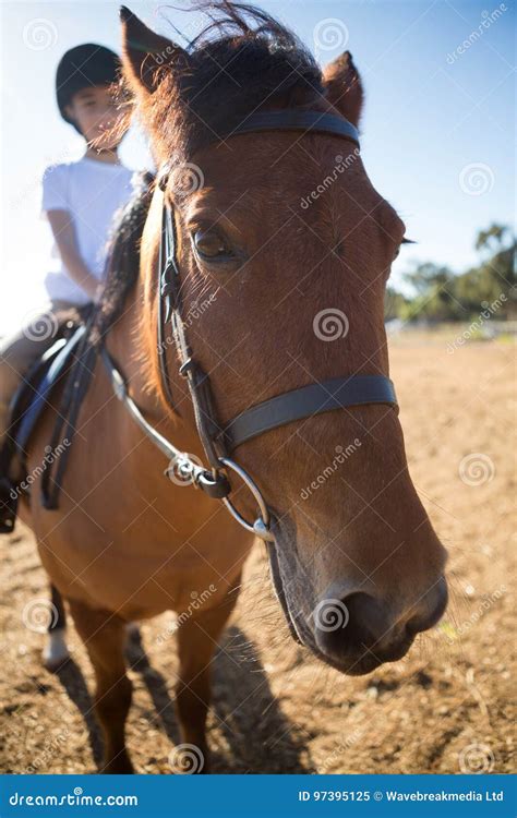 Menina Que Monta Um Cavalo No Rancho Imagem De Stock Imagem De R Dea