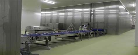 IQF Individual Quick Freezer Hemsinfra