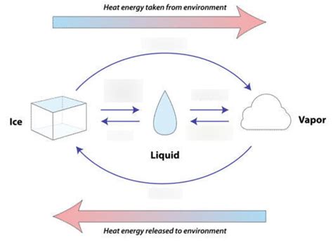 Unit Chem Exam 2 Diagram Quizlet