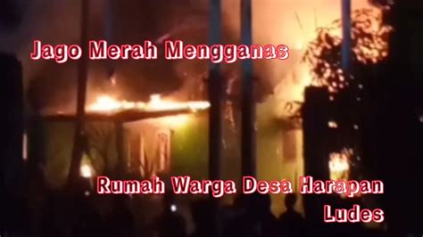 Jago Merah Lahap Habis Rumah Warga Desa Harapan Pondok Kelapa