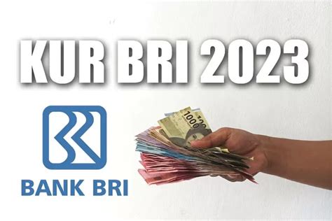 KUR BRI 2023 Telah Dibuka Alokasi Penyaluran Hingga Rp270 Miliar