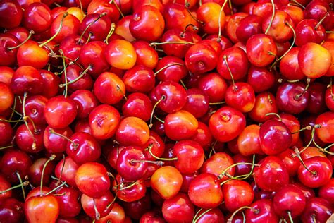 Cherry Planting Guide – Anderson's Seed & Garden