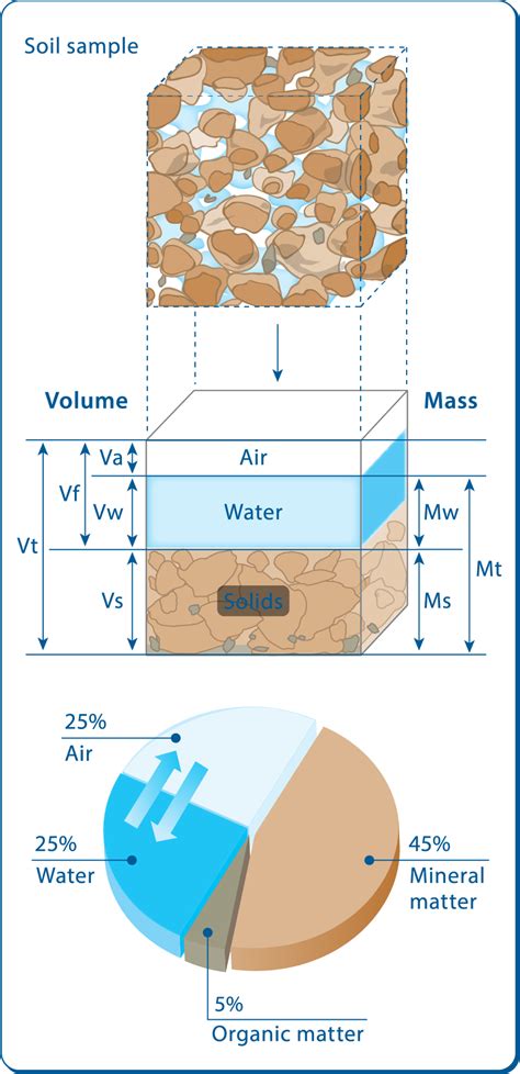 Basic Relationships And The Soil Phases Under Equilibrium Conditions