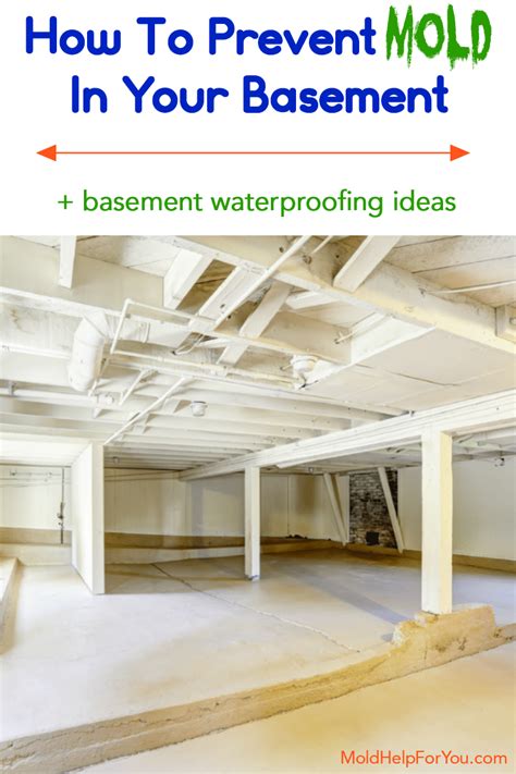 How To Prevent Mold In The Basement + 13 Basement Mold Tips | Mold Help ...