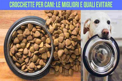 Le Migliori E Peggiori Crocchette Per Cani Nei Supermercati