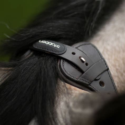 Stubben Freedom English Bridle Schneiders