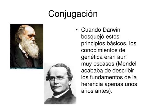 Ppt Conjugaci N Bacteriana Marzo Powerpoint Presentation Free