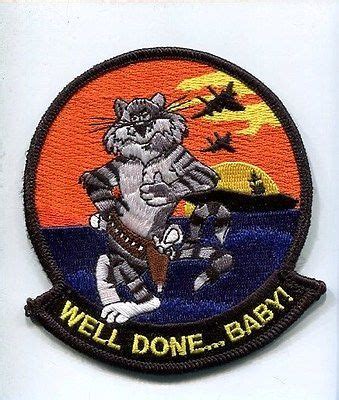 F 14 Tomcat Patches