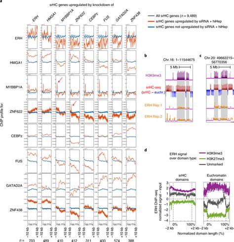 Srhc Proteins Bind To Repressed Target Genes A Chipseq Profiles Of