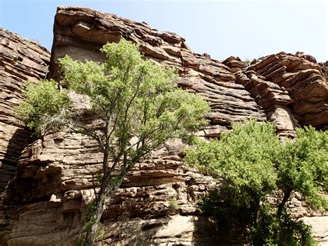 Free Images Landscape Tree Rock Wilderness Trail Valley