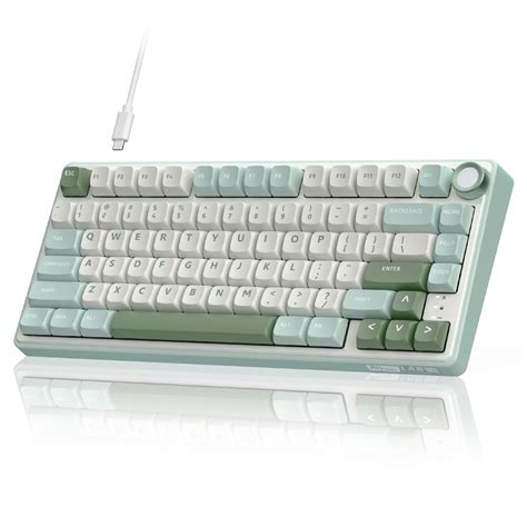 Amazon.com: RK ROYAL KLUDGE R75 Mechanical Keyboard Wired with Volume ...