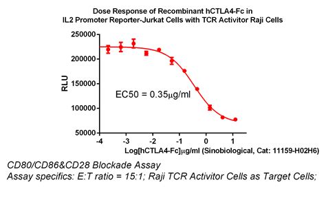 IL2 promoter Luc Jurkat 药靶模型 南京科佰生物科技有限公司