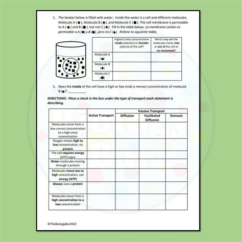 Cell Transport Worksheet Answers Comprehensive Solutions For Biology