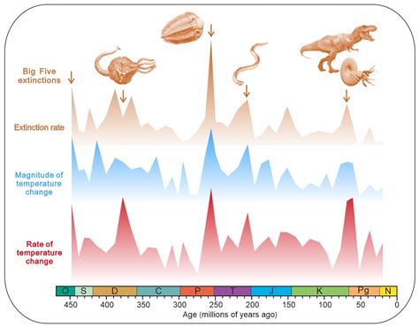 Mass Extinctions Correlate With The Extent Of Climate Change Research