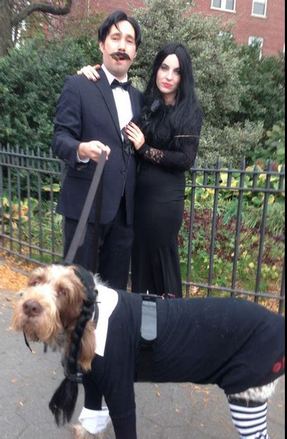 Wednesday Addams Dog Costume