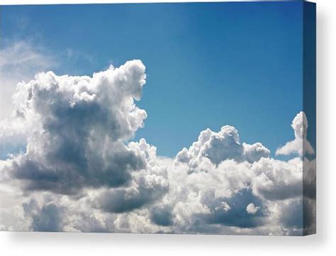 Cloudscape Of Fluffy Cumulus Clouds Canvas Print Canvas Art By Andrew