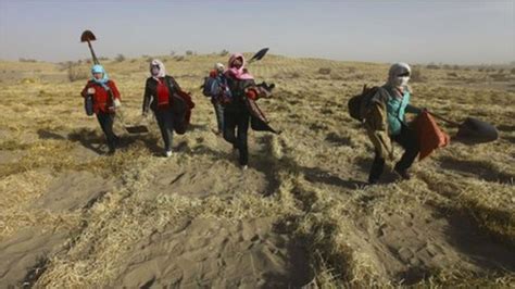 China Official Warns Of Year Desertification Fight Bbc News