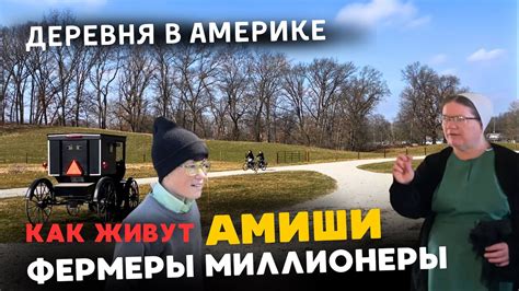 Жизнь в США 300 лет без цивилизации | Амиши - ФЕРМЕРЫ МИЛЛИОНЕРЫ - YouTube