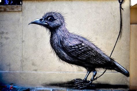 Roa New Street Art Piece For Lecco Street Art View 13 Lecco Italy