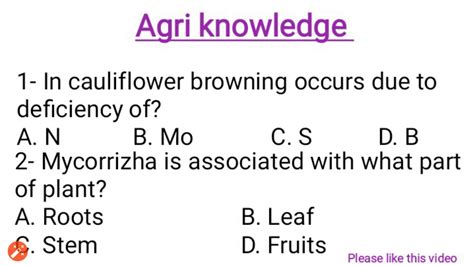 Agriculture Quiz 4 Important Question Of Agriculture YouTube