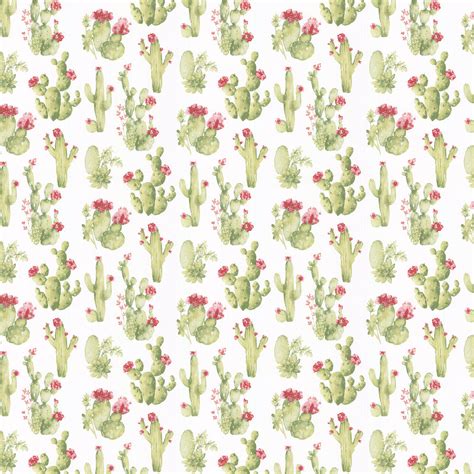 Cactus Flower by Galerie - Green - Wallpaper : Wallpaper Direct