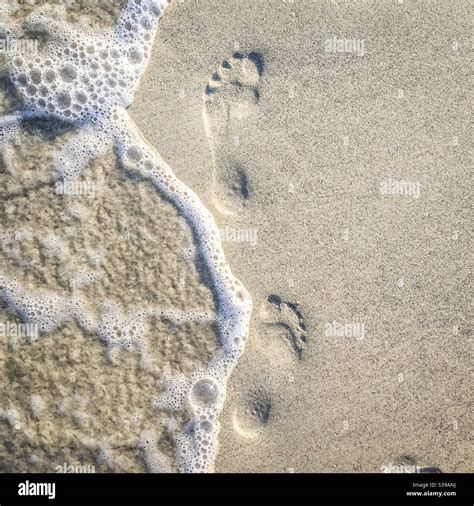 Zwei Fu Abdr Cke Im Sand Am Strand Stockfotografie Alamy