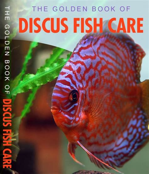 The Golden Book Of Discus Fish Care Payhip Discus Fish Fish Care Fish