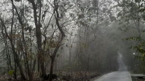 Fenomena Kabut Tebal Di Yogyakarta Begini Penjelasan Bmkg