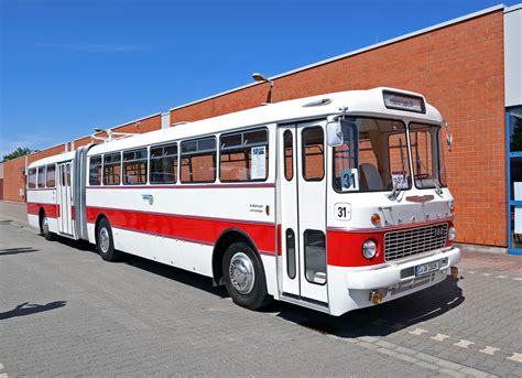 Ikarus Ikarus Bus Treffen In