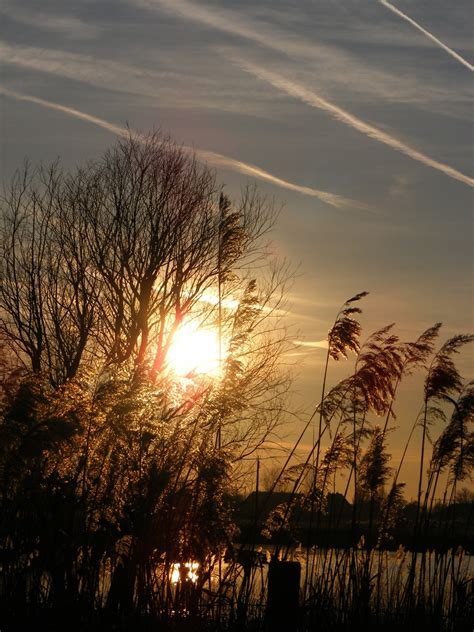 Free Images Tree Nature Horizon Silhouette Cloud Sky Sun