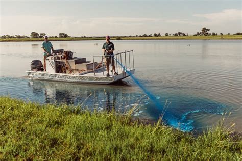 Pond And Lake Management Services Lochow Ranch Pond Lake Management