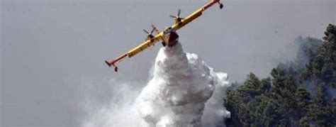 Incendi Boschivi Oggi In Calabria Richieste Di Intervento Aereo