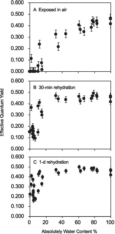 The relationship between photochemical efficiency ΔF Fm and the