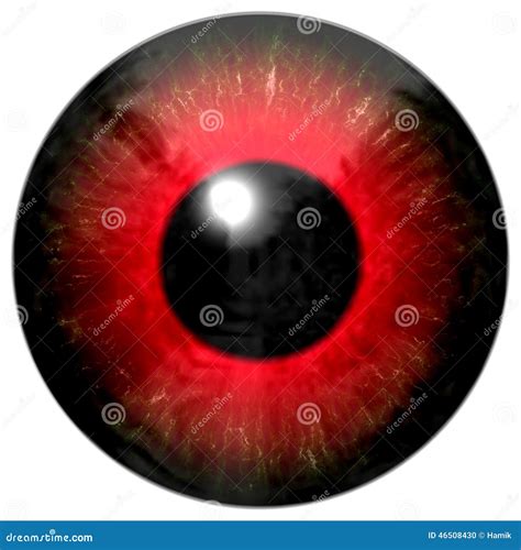 Red Eye Stock Vector Illustration Of Vision White Close 46508430