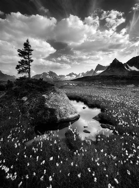 A Comprehensive Introduction to Black and White Photography ...