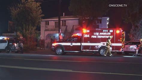 South La Woman Killed After Gunfire Strikes Her Apartment Fox 11 Los