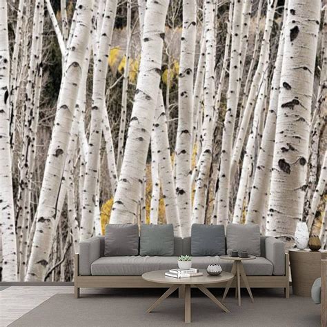 Amazon Aspen Tree Trunks In The Autumn 3D Wall Murals Wallpaper