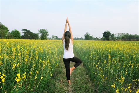 Woman Yoga Meditation Flower Field Stock Image Image Of Flowers