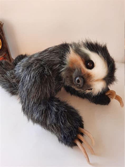 Realistic fur sloth. A stuffed sloth.A soft gift.Big sloth 47 | Etsy