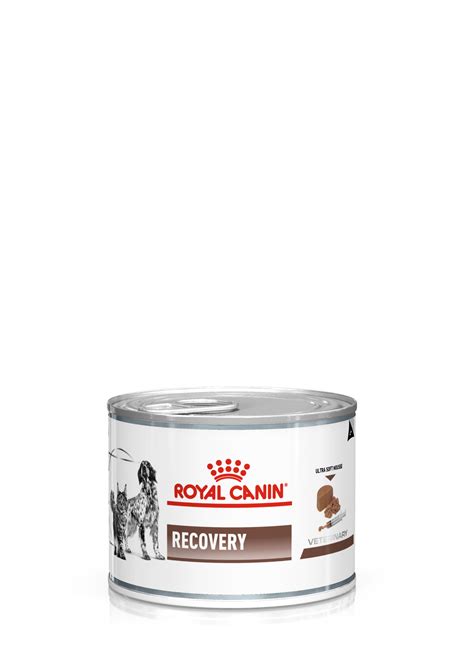 Royal Canin Recovery Cat And Dog Konserv Pehme Vaht Royal Canin Ee