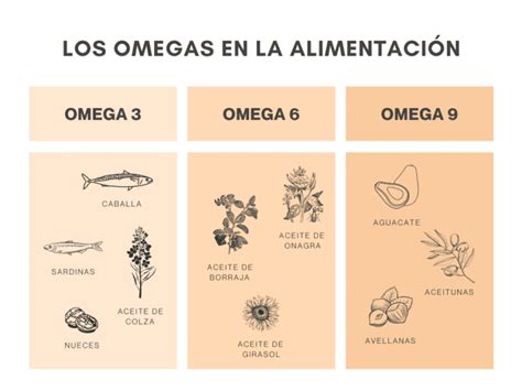 Descubre Los Diferentes Tipos De Omegas Gu A Completa Y Actualizada