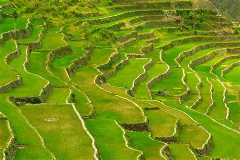 15 interesting facts about Batad Rice Terraces – Factins