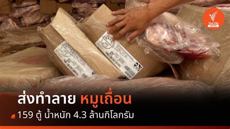 กรมศุลกากร ส่งทำลาย หมูเถื่อน 159 ตู้ 43 ล้านกิโลกรัม Thai Pbs