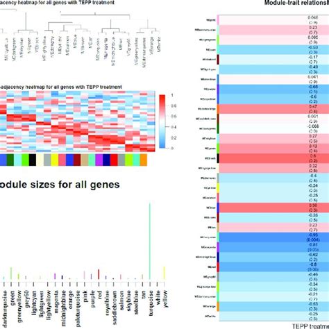 Co Expressions Of Differentially Expressed DE Genes A Eigengene