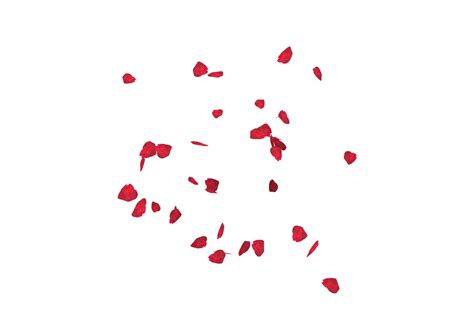 Image Of Falling Red Rose Petals Overlay Png Free Photo