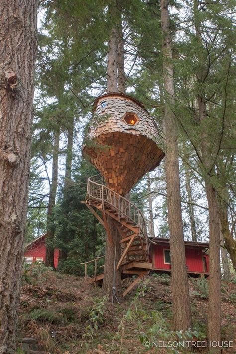 C Mo Construir Una Escalera Caracol Para Una Genial Casa Del Rbol