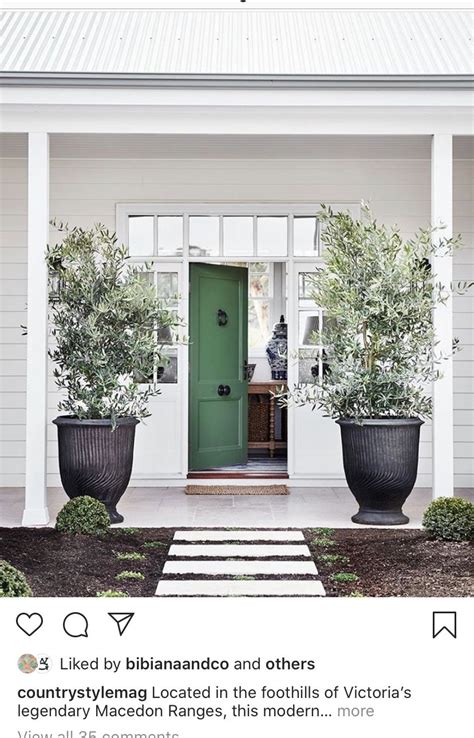 Bold Front Door Colors For Bright Curb Appeal Artofit