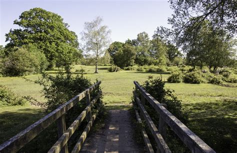 Kostenlose Foto Landschaft Baum Natur Gras Draussen Himmel Holz