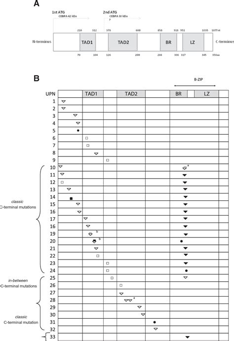 Figure From Cebpa Copy Number Variations In Normal Karyotype Acute